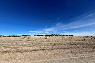 Lot 121 County Rd 113, Rye, CO 81069 - Photo 1