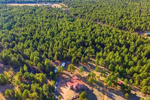 139 Hereford Dr, Rye, CO 81069 - Photo 83