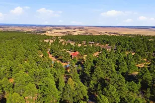 139 Hereford Dr, Rye, CO 81069 - Photo 87