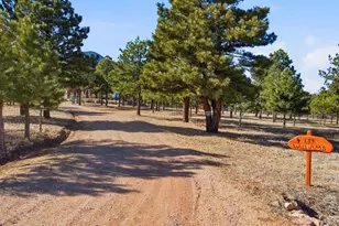 139 Hereford Dr, Rye, CO 81069 - Photo 59