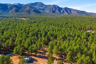 139 Hereford Dr, Rye, CO 81069 - Photo 91