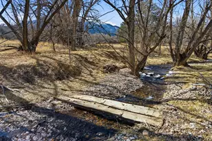 10113 Trout Farm Rd, Rye, CO 81069 - Photo 45