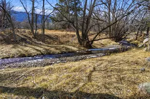 10113 Trout Farm Rd, Rye, CO 81069 - Photo 47