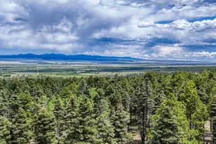 79 Terraza Abajo, Westcliffe, CO 81252 - Photo 43