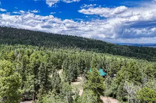 79 Terraza Abajo, Westcliffe, CO 81252 - Photo 41