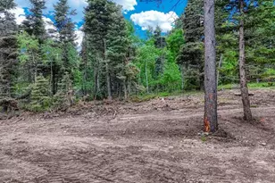 79 Terraza Abajo, Westcliffe, CO 81252 - Photo 37