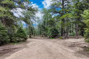 79 Terraza Abajo, Westcliffe, CO 81252 - Photo 39