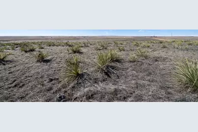 36420 Wagner Ln, Calhan, CO 80808 - Photo 5