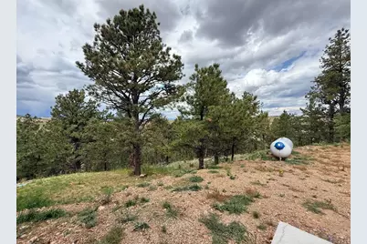 741 Junkins Loop, Westcliffe, CO 81252 - Photo 3