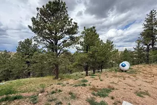 741 Junkins Loop, Westcliffe, CO 81252 - Photo 3