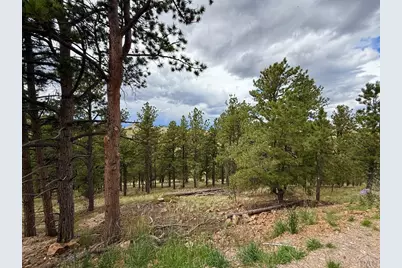 741 Junkins Loop, Westcliffe, CO 81252 - Photo 7