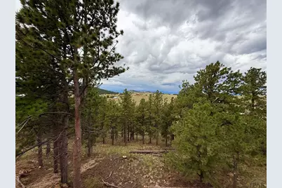 741 Junkins Loop, Westcliffe, CO 81252 - Photo 5