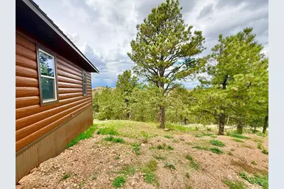 741 Junkins Loop, Westcliffe, CO 81252 - Photo 91