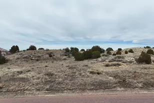 161 W Sunnyslope Dr, Pueblo West, CO 81007 - Photo 1