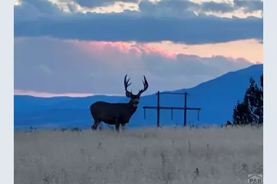 6567 Meadow Bluff Dr, Rye, CO 81069 - Photo 19