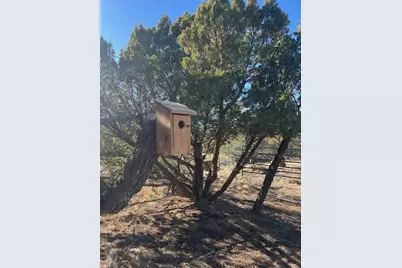 668 La Deora Blvd, Walsenburg, CO 81089 - Photo 7