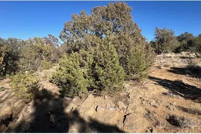 668 La Deora Blvd, Walsenburg, CO 81089 - Photo 9