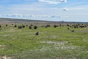 Tbd Bergemann Rd, Pueblo, CO 81005 - Photo 1