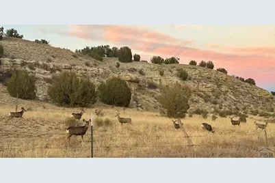 7559 Soda Creek Rd, Pueblo, CO 81023 - Photo 39