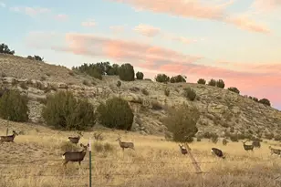 7559 Soda Creek Rd, Pueblo, CO 81023 - Photo 39