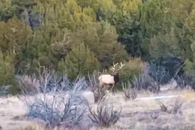 7559 Soda Creek Rd, Pueblo, CO 81023 - Photo 37