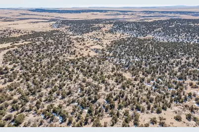 Lot 102 Ghost River Ranch, Rye, CO 81089 - Photo 39