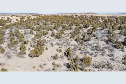 Lot 102 Ghost River Ranch, Rye, CO 81089 - Photo 35