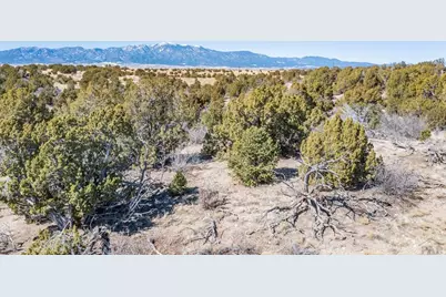 Lot 102 Ghost River Ranch, Rye, CO 81089 - Photo 5