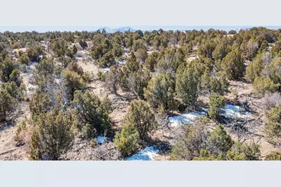 Lot 102 Ghost River Ranch, Rye, CO 81089 - Photo 43