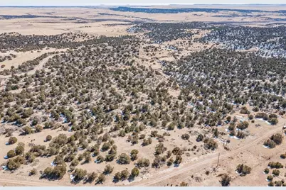 Lot 102 Ghost River Ranch, Rye, CO 81089 - Photo 37