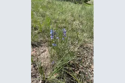 Tbd Beaubien Way, Colorado City, CO 81019 - Photo 11