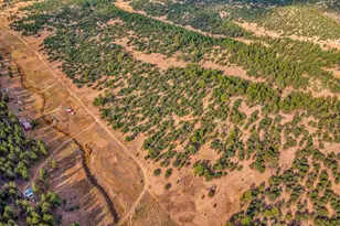 523-599 Ferris Dr, Westcliffe, CO 81252 - Photo 15