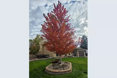 6 Archway Lane, Pueblo, CO 81005 - Photo 53