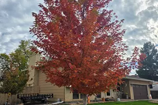 6 Archway Ln, Pueblo, CO 81005 - Photo 53