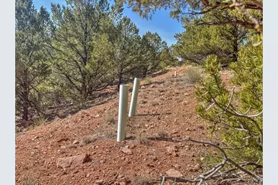 426 Arapaho Rd, Westcliffe, CO 81252 - Photo 9