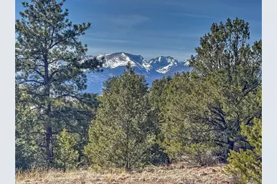 426 Arapaho Rd, Westcliffe, CO 81252 - Photo 3