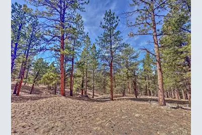426 Arapaho Rd, Westcliffe, CO 81252 - Photo 19