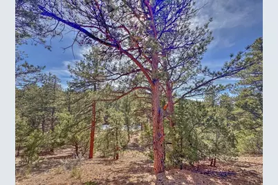 426 Arapaho Rd, Westcliffe, CO 81252 - Photo 13