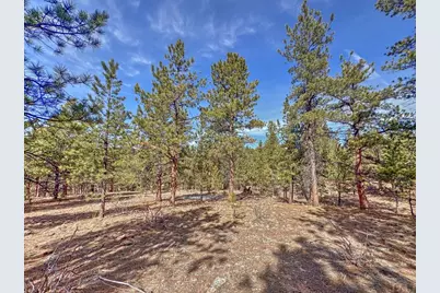 426 Arapaho Rd, Westcliffe, CO 81252 - Photo 25