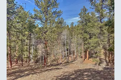 426 Arapaho Rd, Westcliffe, CO 81252 - Photo 23
