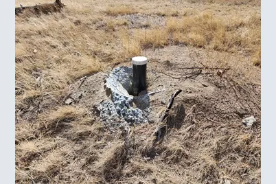 117 Pinon Ln, Cotopaxi, CO 81223 - Photo 3