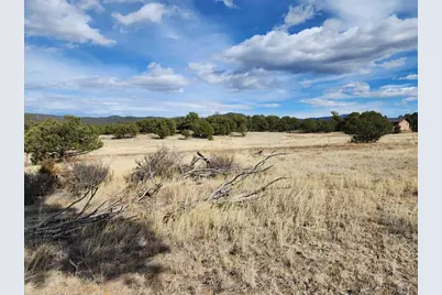 117 Pinon Ln, Cotopaxi, CO 81223 - Photo 5