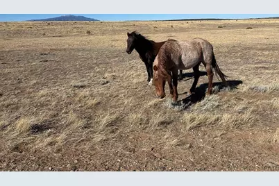 Lot 75A River Ridge Ranch, La Veta, CO 81055 - Photo 5