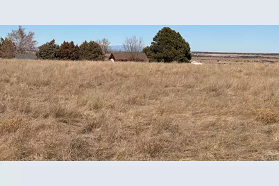 Lot 168 Routt St, Colorado City, CO 81019 - Photo 9