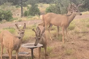 3681 Co Rd 510, Walsenburg, CO 81089 - Photo 33