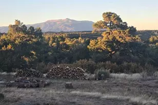 3681 Co Rd 510, Walsenburg, CO 81089 - Photo 35