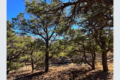 Tbd County Rd 572, Gardner, CO 81040 - Photo 7