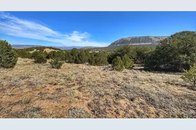 Tbd County Rd 572, Gardner, CO 81040 - Photo 11