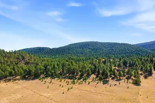 3951 Northcreek Rd, Beulah, CO 81023 - Photo 59