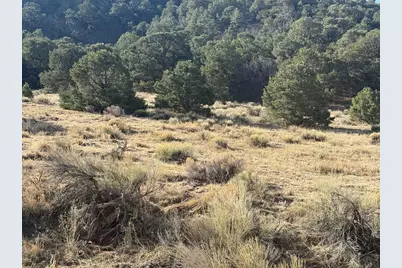 146 Colorado Land and Grazing, Gardner, CO 81040 - Photo 7